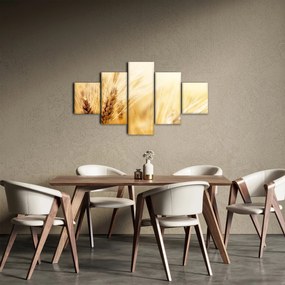 Obraz - szczegóły ziarna (125x70 cm)