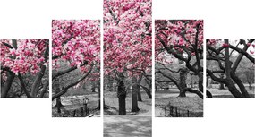 Obraz drzew magnolii (125x70 cm)