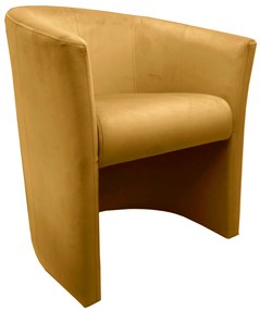 Fotel CLUB tkanina Welur elegancki fotel tapicerowany do salonu i gabinetu : Kolor tkaniny - VELVET - MG15