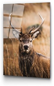 Szklany obraz 70x100 cm Deer – Wallity