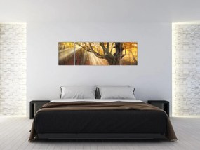 Obraz - Jesienny świt (170x50 cm)