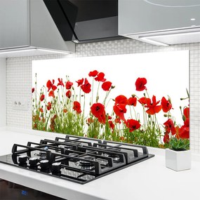 Panel Szklany Czerwone Maki w Letnim Polu