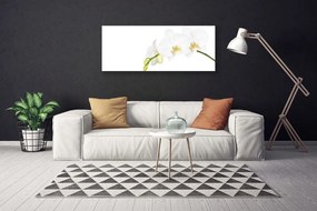 Obraz canvas Letni Ogród Botaniczny