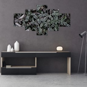 Obraz - Zamrożone rośliny (125x70 cm)