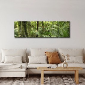 Obraz tropikalnego lasu deszczowego (170x50 cm)