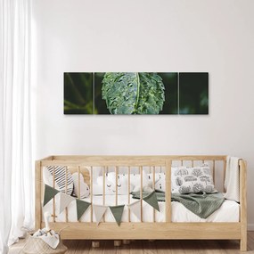 Obraz - krople na liściu (170x50 cm)