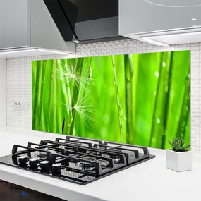 Szkło do Kuchni na Ścianę Naturalna Tekstura Trawy