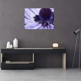Obraz - Fioletowy kwiat (70x50 cm)