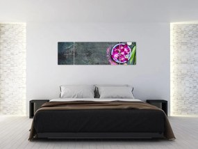 Obraz - Wellness (170x50 cm)
