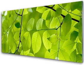 Panel Kuchenny Botaniczny Detal Liści