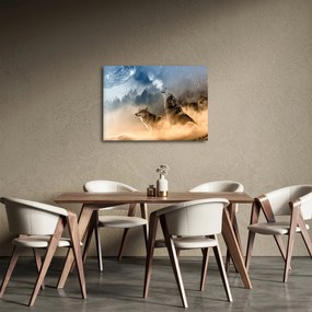 Obraz - wilki wyjące do księżyca (70x50 cm)