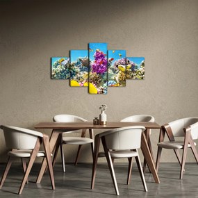 Obraz - Morski świat (125x70 cm)