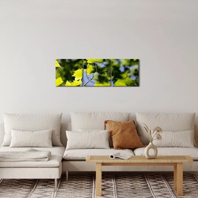 Obraz - liście klonu (z zegarem) (90x30 cm)