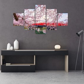 Obraz - Hirosaki, Japonia (125x70 cm)