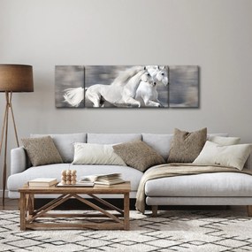 Obraz - Białe konie zimą (170x50 cm)