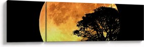 Obraz cieni w świetle księżyca (170x50 cm)