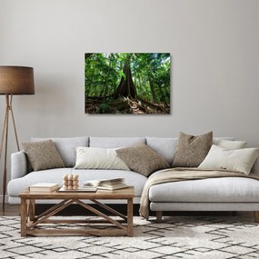 Obraz na szkle - Korzenie drzewa (70x50 cm)