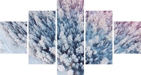 Obraz ośnieżonych drzew (125x70 cm)