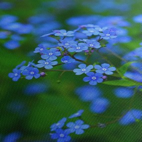 Obraz niebieskich kwiatów (125x70 cm)