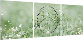 Obraz - Poranna rosa na źdźbłach trawy (z zegarem) (90x30 cm)