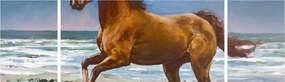 Obraz konia na plaży (170x50 cm)