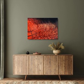 Obraz na szkle - Piłka do koszykówki (70x50 cm)