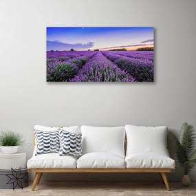 Obraz na płótnie Letnia Łąka Pełna Kwiatów