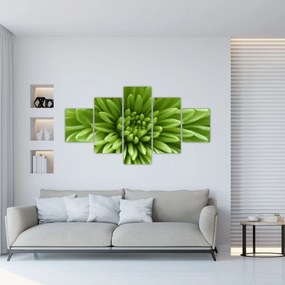 Obraz - Obraz rośliny w trybie makro (125x70 cm)