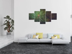 Obraz - Detal sosny (125x70 cm)