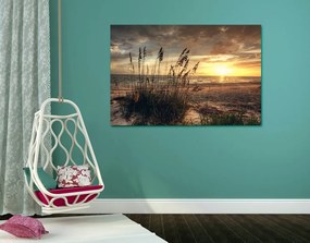 Obraz zachód słońca na plaży