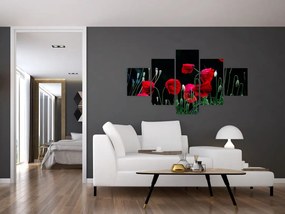 Obraz - Taniec maków (125x70 cm)