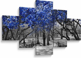 Obraz - Niebieskie drzewa, Central Park, New York (125x70 cm)