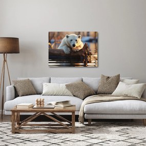 Obraz - Niedźwiedź polarny (70x50 cm)