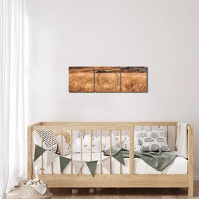 Obraz pola (z zegarem) (90x30 cm)