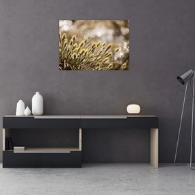 Obraz - Zieleń (70x50 cm)