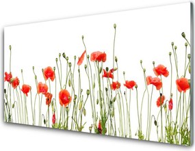 Panel Szklany do Kuchni Maki o Poranku