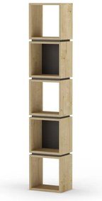 Czarny regał w dekorze dębu 32x167 cm Lofty – Marckeric