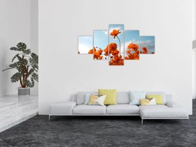 Obraz - Łąkowe kwiaty (125x70 cm)