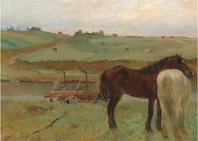 Obraz - Edgar Degas, Horses in a Meadow, reprodukcje (70x50 cm)