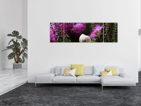 Obraz - Muszla ślimaka (170x50 cm)