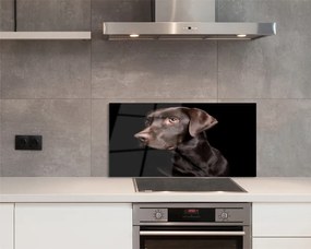 Panel szklany do Kuchni Wierny Brązowy Przyjaciel