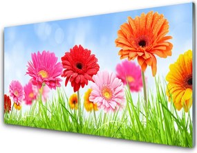 Panel Kuchenny Kwiaty Wśród Polnej Trawy