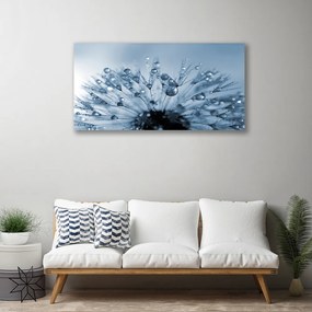 Obraz canvas Dmuchawiec w Porannej Rosie