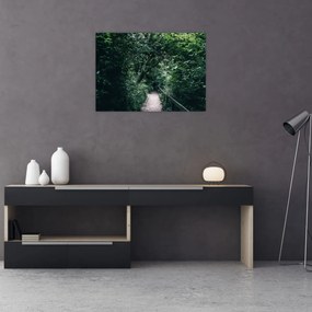 Obraz - Ścieżka przez las (70x50 cm)