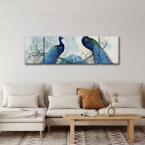Obraz - Pawie tekstury (170x50 cm)