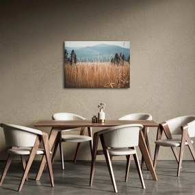 Obraz - szczegół łąki (70x50 cm)