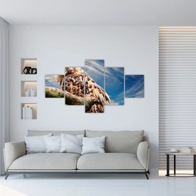 Obraz - Sowa (125x70 cm)