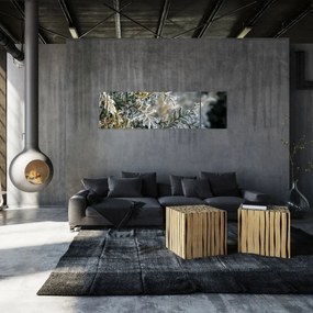 Obraz - Detal gałęzi (170x50 cm)