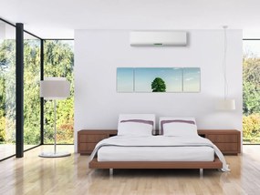 Obraz drzewa na środku łąki (170x50 cm)