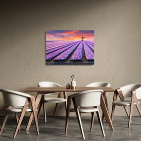 Obraz na szkle - farma kwiatów (70x50 cm)